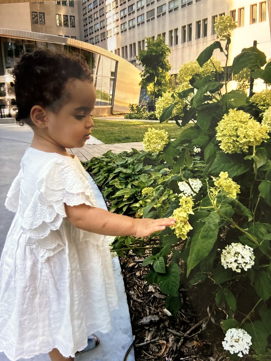 Yasmine & the hydrangeas